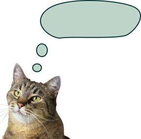cat-1